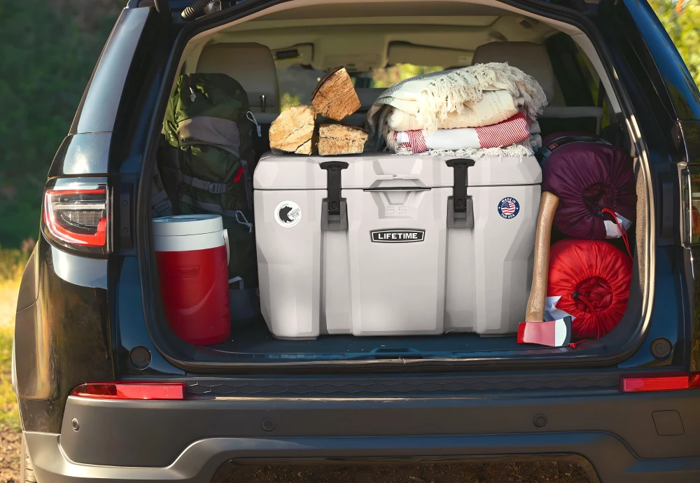 best ice chest cooler